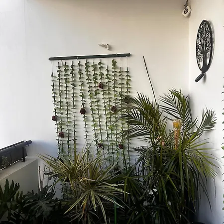 Apartament Makenzy 2 Bedrooms For Rent *